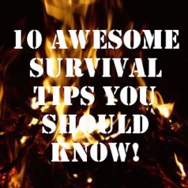 Survival Tips And Tricks
