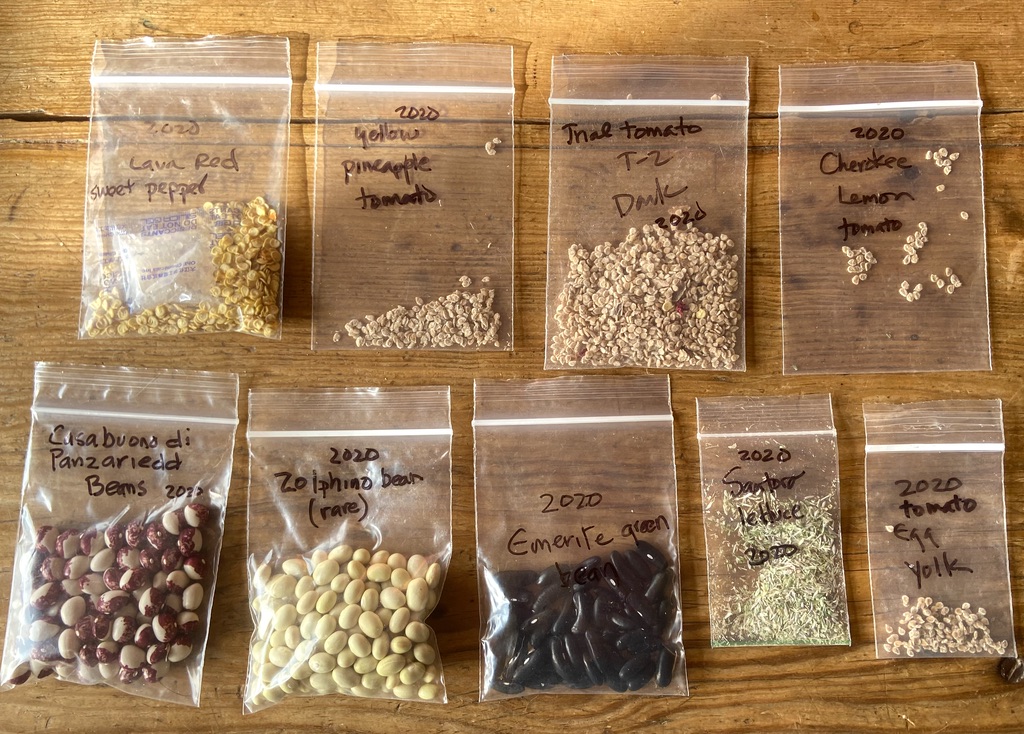 seed-saving